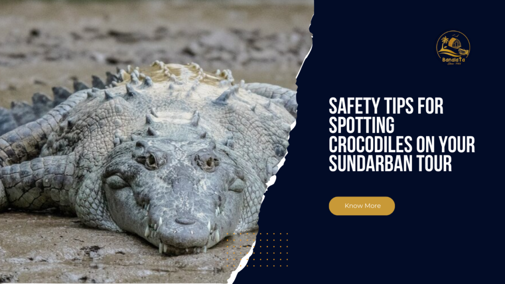 Safety Tips for Spotting Crocodiles on Your Sundarban Tour