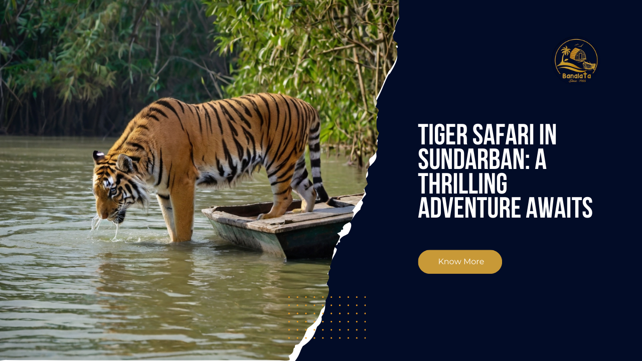 Tiger Safari in Sundarban