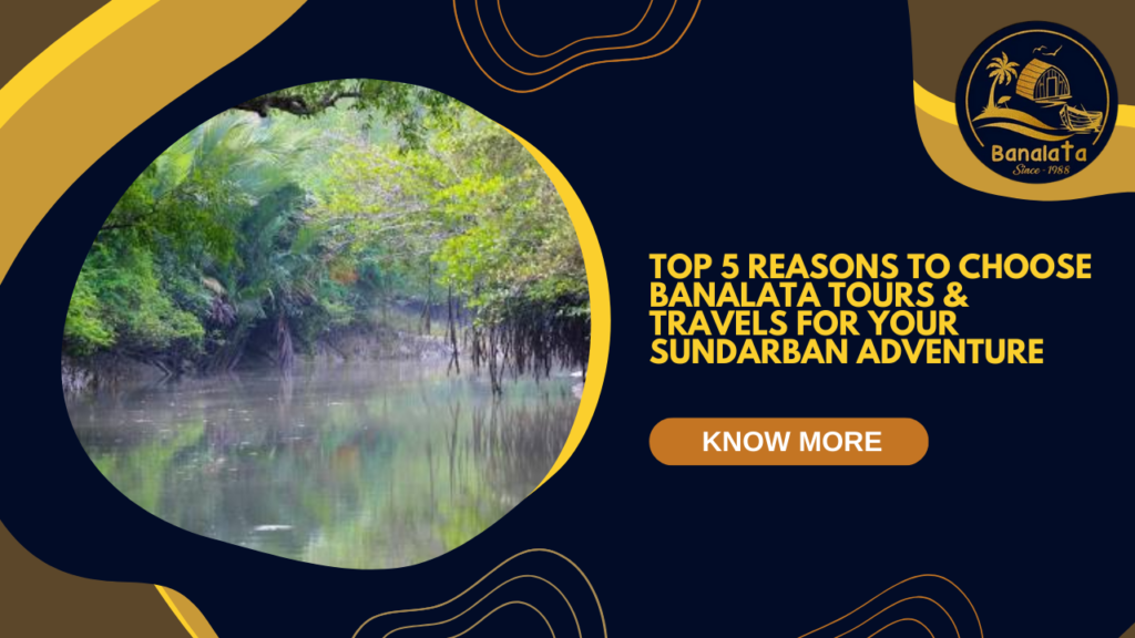 Top 5 Reasons to Choose Banalata Tours & Travels for Your Sundarban Adventure