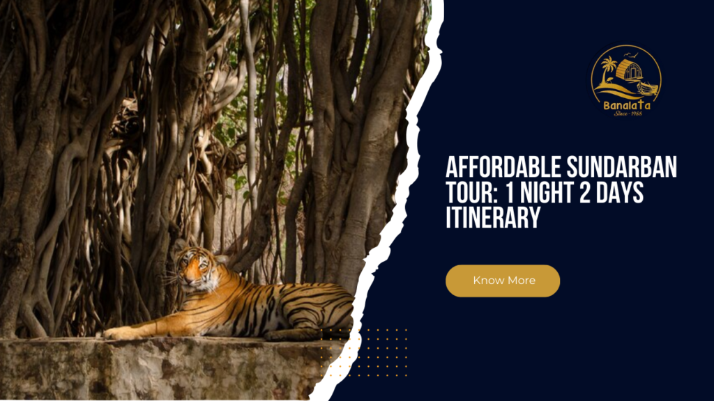 Affordable Sundarban Tour 1 Night 2 Days Itinerary