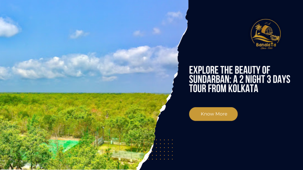 Explore the Beauty of Sundarban A 2 Night 3 Days Tour from Kolkata