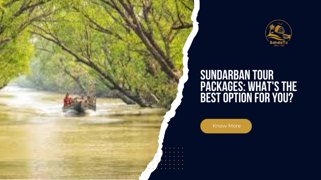 Sundarban Tour Packages What's the Best Option for You