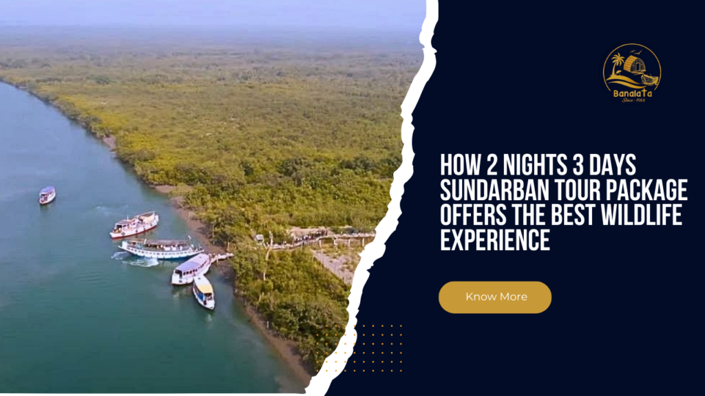 How-2-Nights-3-Days-Sundarban-Tour-Package-Offers-the-Best-Wildlife-Experience