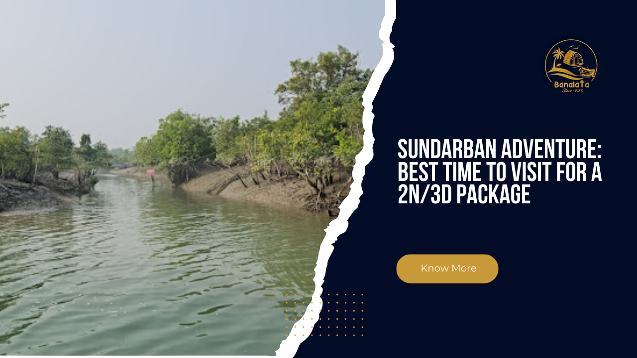 Sundarban Adventure Best Time to Visit for a 2N3D Package