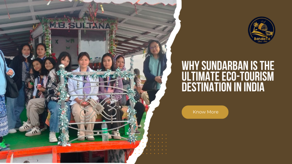 Why Sundarban is the Ultimate Eco-Tourism Destination in India